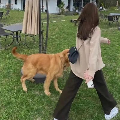福斯特对话尼克松